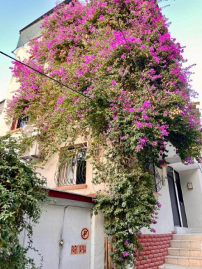 Small House